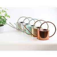 Hot sale Long Spout Watering Can Metal Color Planter Pot Stainless Steel Watering Can